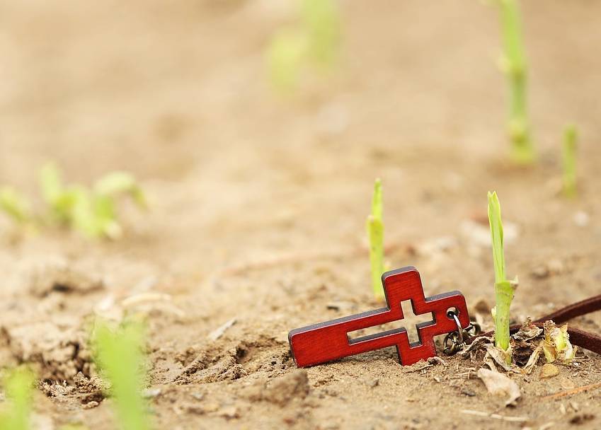 Kreuz und junger Trieb / pixabay.com / gemeinfrei Kreuz und junger Trieb