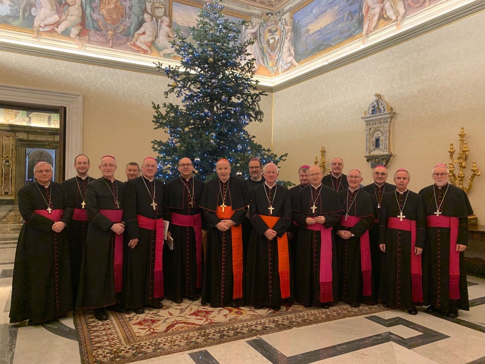 Österreichische Bischöfe vor Papstaudienz im Vatikan / Kathpress / Paul Wuthe