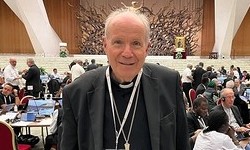Kardinal Schönborn zur Synode: 'Der Weg geht weiter, und die Kirche wächst'