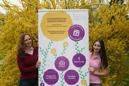 Museumsmangement Niederösterreich